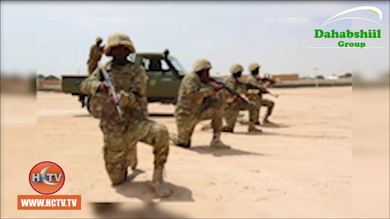 Diyarado Duqeyey Idaacad Ku Hadasha Afka Alshabaab.