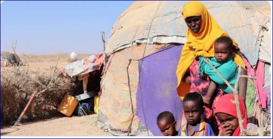 Somalia: Tirada Dadka Barakacay Sanadkan 2019-ka Oo La Soo Saaray