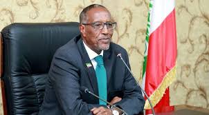 Madaxweyne Biixi Oo Ka Hadlay Dil Burco Loogu Geystay Hooyo Haysatay 3 Carruur Ah