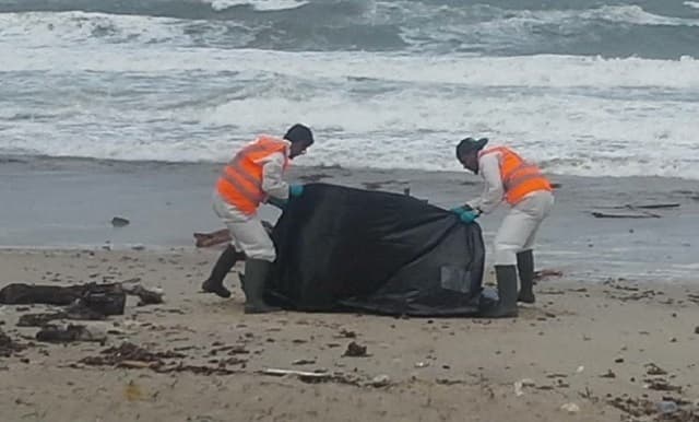 Tirada Tahriibayaal Meydadkooda Laga Helay Xeebta Jabuuti