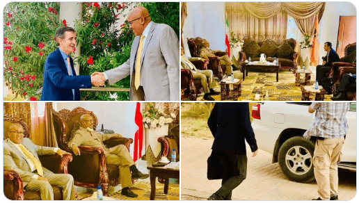 Gudoomiyeyaasha Xisbiyada Mucaaridka Somaliland Oo Kulan La Qaatay Danjiraha Midawga Yurub