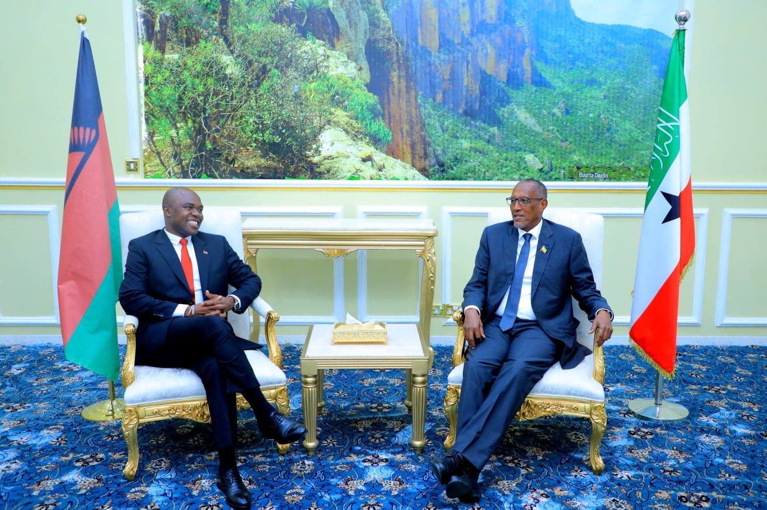Madaxweynaha Somaliland Oo Qaabilay Wefti Uu Hoggaaminayey Wasiirka Arrimaha Dibedda Ee Dalka Malawi