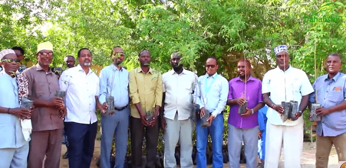 Dawlada Hoose Ee Berbera Oo 2500 Geed U Qaybisay Xaafadaha Magaalada