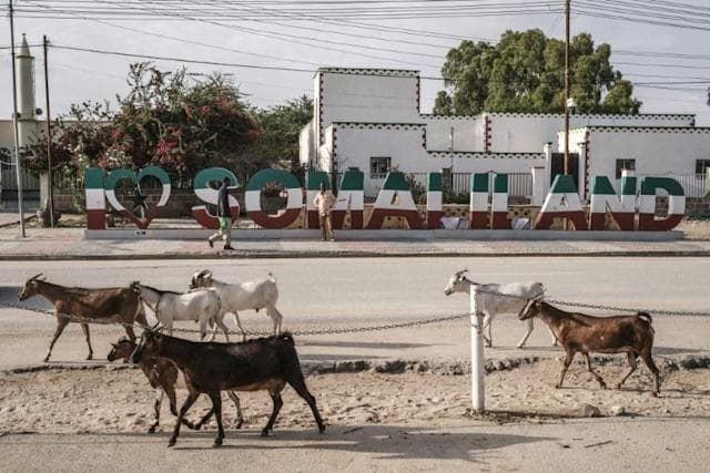 Unrecognised but unbowed, Somaliland youth carry the flag
